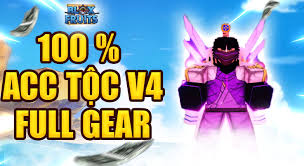 Random Acc 100% Acc V4